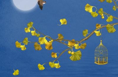 今日生肖冲煞查询:2022年2月1日春节冲什么属相