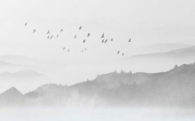 2021年属鼠人的全年运程女性 各个运势如何发展