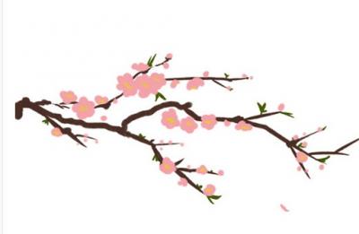 2021年11月12日特吉生肖,生肖运势解析