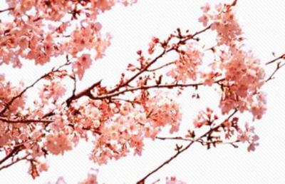 最新运程:2022年9月15日特吉生肖运势排行