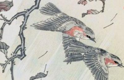 寒衣节没烧纸怎么弥补 烧纸提前也不延后