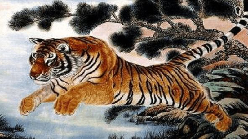 鸡跟老虎相配吗