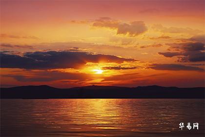 2023属猪下半年适合什么颜色_属猪下半年适合开鞋店吗